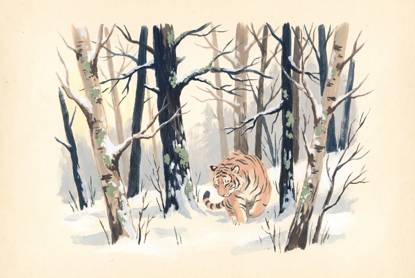 The Amur Tiger in its habitat, an original illustration